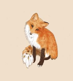 a drawing of a fox sitting on the ground