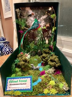 an open box filled with lots of green plants and animals in the middle of it