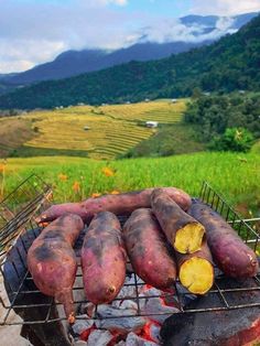 there is a bunch of potatoes cooking on an outdoor grill with mountains in the background