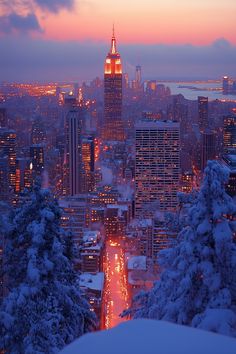 the city is lit up at night and it's snow covered trees are in the foreground