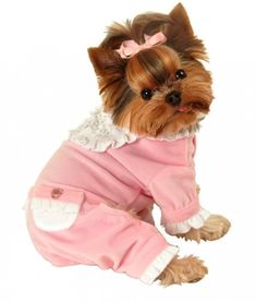 Pink Sweety Dog Pajama Puppies In Pajamas, Pet Items, One Piece Jumper, Dog Jumpers, Designer Dog Clothes, Dog Boutique, Dog Pajamas, Pet Fashion, Puppy Clothes