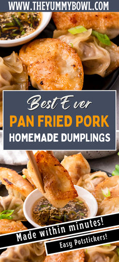 the best ever pan fried pork homemade dumplings