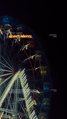 a ferris wheel lit up at night with the word carnival written in neon on it