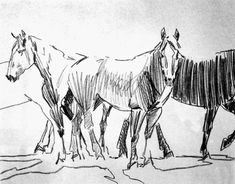 three horses are walking together in the sand and one horse is drawn with pencils