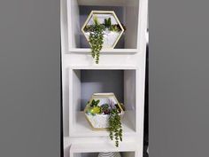 three white shelves with plants in them on top of each other, one shelf has a vase and the other is a potted plant