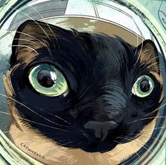 a close up of a black cat with green eyes looking through a round glass window