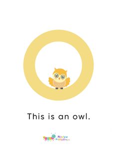 an owl is sitting on the letter o