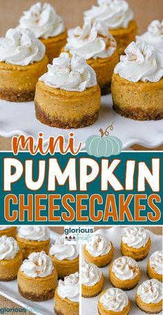 mini pumpkin cheesecakes with whipped cream on top and the title above it reads, mini pumpkin cheesecakes