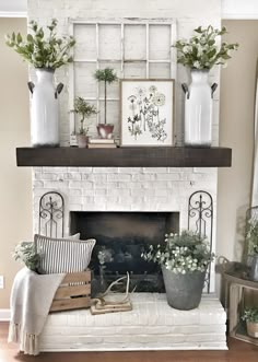 an image of a fireplace with potted plants on it