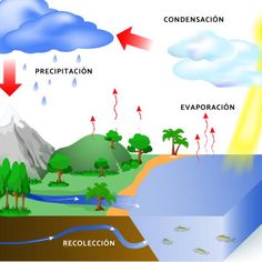 the water cycle is shown in this diagram