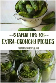 pickles in jars with the words 5 expert tips for extra - crunch pickles