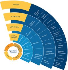 a circular diagram with the words operational excellence and key steps to success in each section