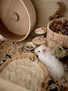 a white hamster sitting in a wooden basket next to other food dishes and bowls