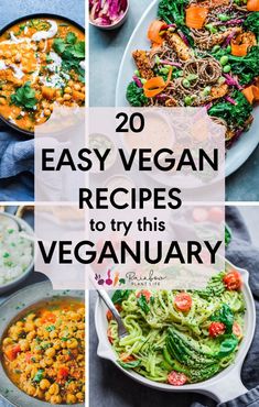 easy vegan recipes to try this vegetarian