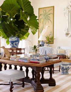 a living room filled with furniture and a large green plant in the middle of it