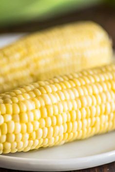 two corn cobs on a white plate