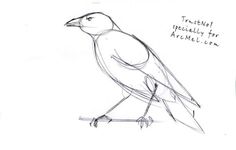 a drawing of a bird sitting on top of a table