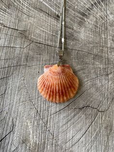 a seashell is sitting on top of a piece of wood with a silver chain