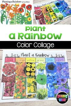 an image of a plant rainbow color collage with the words plant rainbow on it