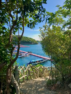 boats are docked in the water near some trees