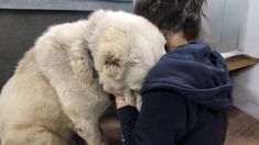 a woman is petting a dog on the nose