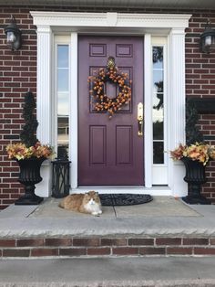 a brown and white dog laying in front of a purple door with wreaths on it