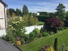 an aerial view of a lush green yard