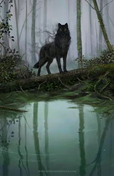 a painting of a black wolf standing on a log in the middle of a forest