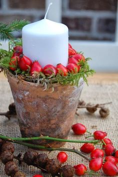 a white candle sitting on top of a potted plant next to berries and pine cones