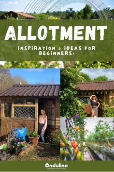 the cover of an article about allotment for beginners