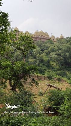 a large building on top of a hill with trees in the foreground and bushes below