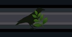 a black bird sitting on top of a green leafy branch in front of a dark background