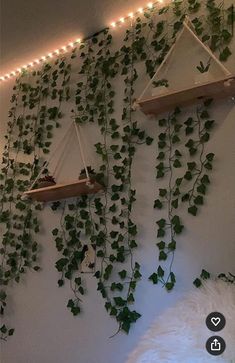 some plants are growing on the wall and hanging from it's sides with lights