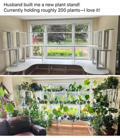 two pictures of plants in front of a window and on the inside of a room