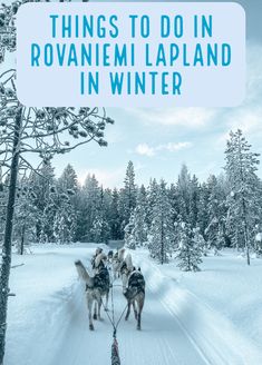 people on sleds being pulled by dogs in the snow with text overlay that reads things to do in rovanijem lapland in winter