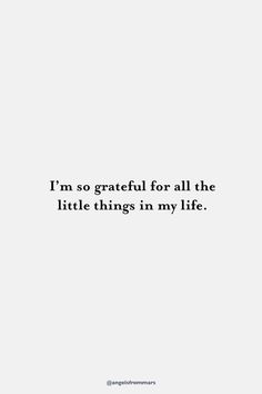 the quote i'm so grateful for all the little things in my life