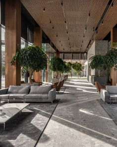 a large open room with couches and tables in the center, surrounded by potted plants