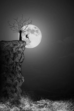 a tree on top of a cliff with the moon in the background