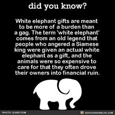 an elephant is shown with the caption that says, did you know?