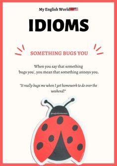 a ladybug magnet with the words idoms on it