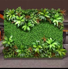 a green wall in an office building with plants growing on the top and below it