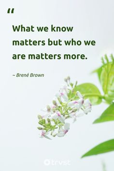 a quote from brene brown on what we know matters matter, but who we are matters matter