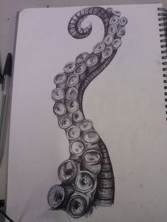 a pencil drawing of an octopus with many circles on it's body and tail