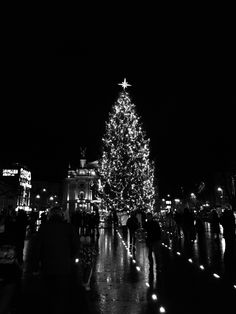 black and white photograph of people standing in front of a lit christmas tree at night