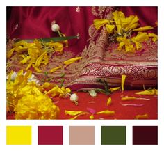 yellow flowers and petals on a red cloth, with color swatches in the background