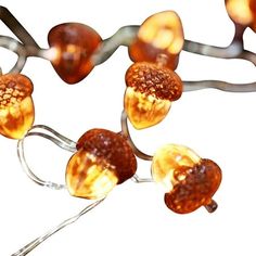 an image of some lights that are in the shape of acorns on a branch