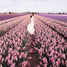 a woman in a white dress standing in a field full of purple tulips