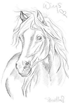 a drawing of a horse's head with long manes and the number 3 on it