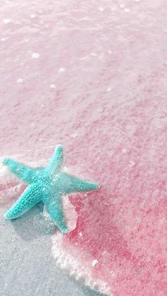 a starfish laying on the beach with pink sand