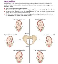 Obstetrics Nursing, Midwifery Student, Nursing Classes, Student Midwife, Nurse Study Notes, Nursing Mnemonics, Nursing Student Tips, Nursing School Survival